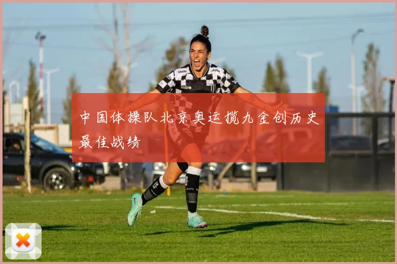 中国体操队北京奥运揽九金创历史最佳战绩