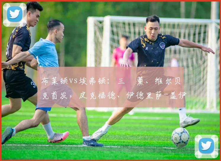 布莱顿vs埃弗顿：三笘薰、维尔贝克首发，皮克福德、伊德里萨-盖伊出战