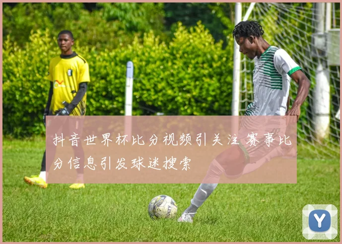 抖音世界杯比分视频引关注 赛事比分信息引发球迷搜索